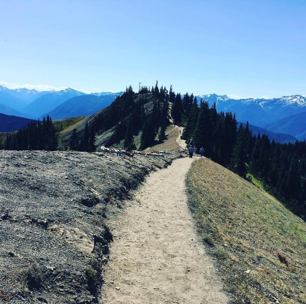Olympic National Park, Hurricane Ridge
