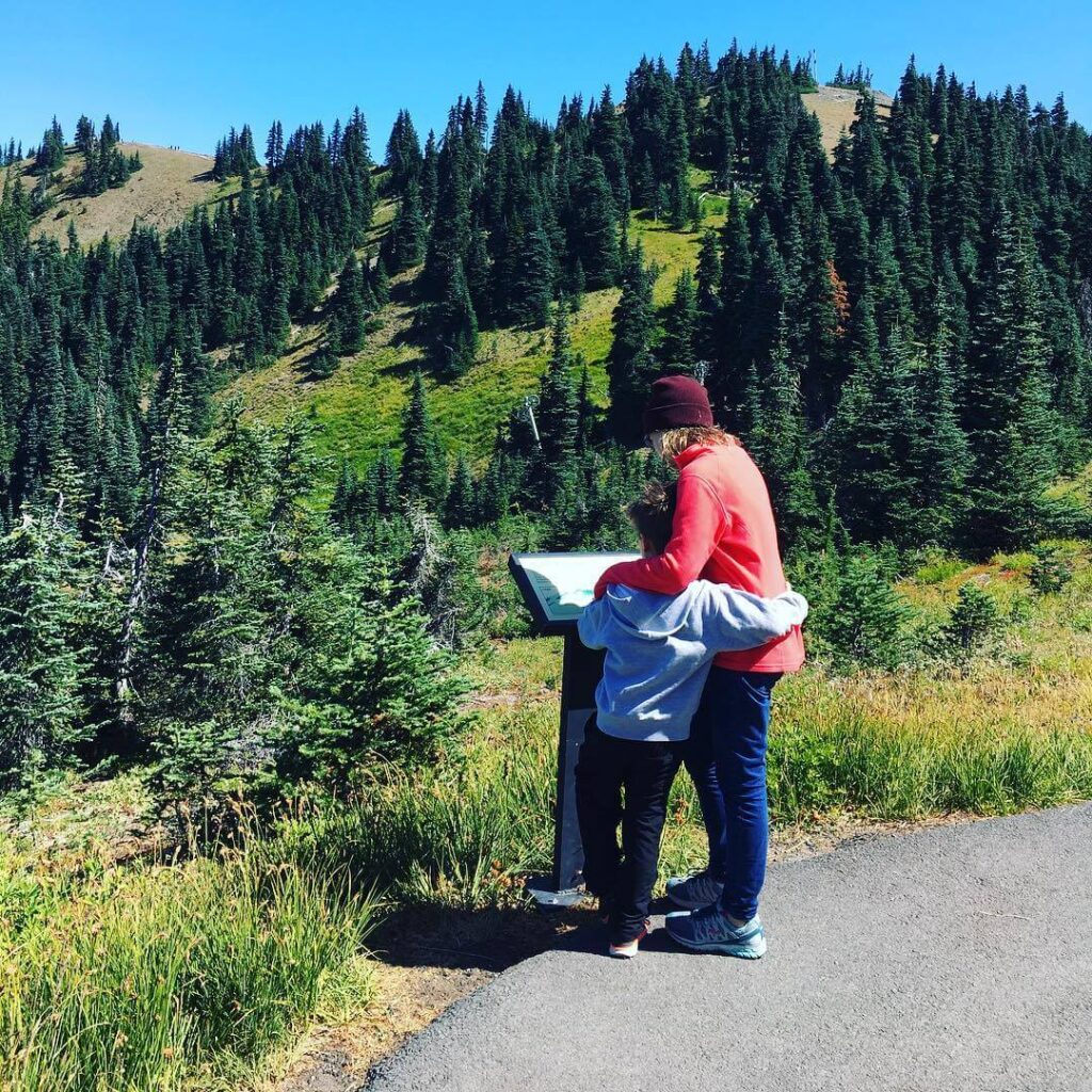 Hurricane Ridge Olympic National Park